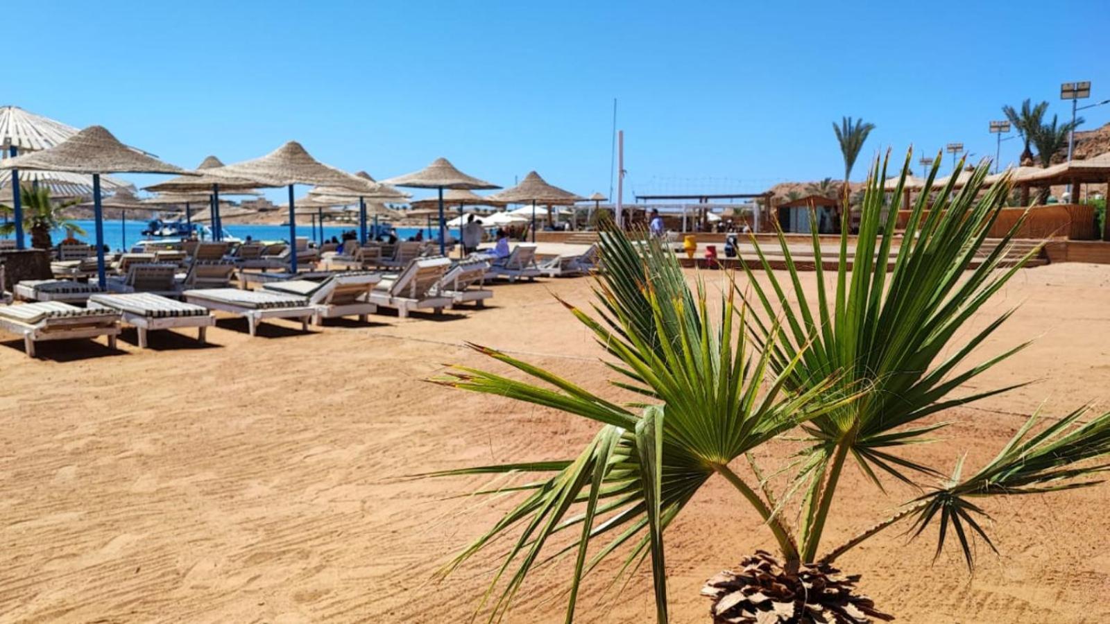 Turquoise Beach Hotel Sharm El Sheikk Exterior foto